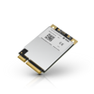 RAK5146 - WisLink LPWAN Concentrator Module